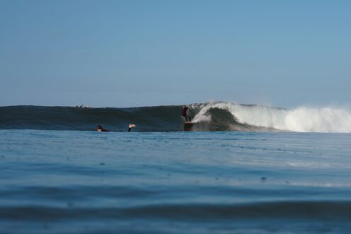 Book your surf lesson